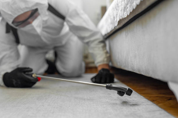 Professional Bed Bug Control technician working in Albertville, AL